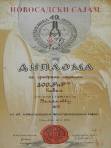 DSCN6704